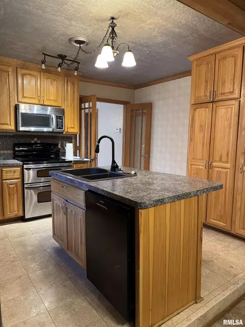 Kitchen - 313 Central Ave, Saint David, IL 61563 photo 4 of 4