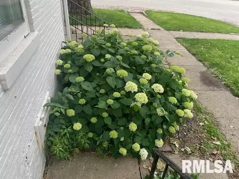 Exterior - 930 N 8th St, Springfield, IL 62702 photo 5 of 5
