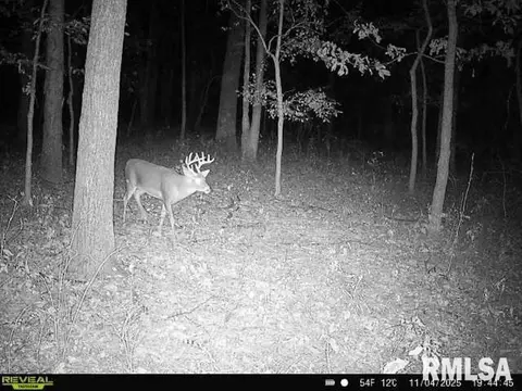 4 H Rd, Sumner, IL 62466 photo 56