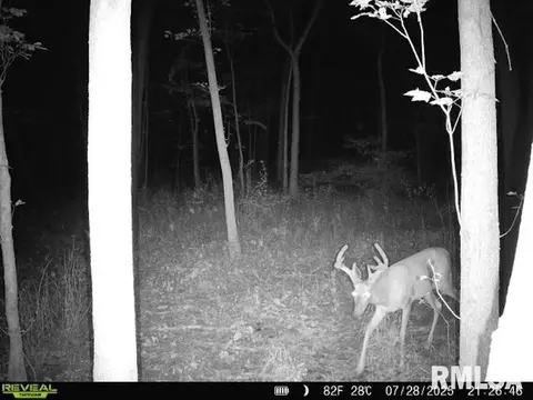 4 H Rd, Sumner, IL 62466 photo 83