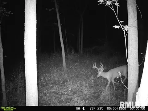 4 H Rd, Sumner, IL 62466 photo 84