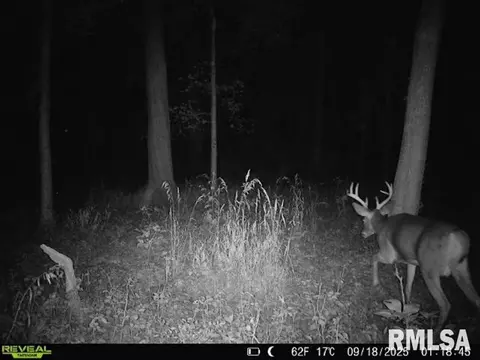 4 H Rd, Sumner, IL 62466 photo 79
