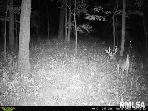 4 H Rd, Sumner, IL 62466 photo 67