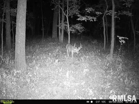 4 H Rd, Sumner, IL 62466 photo 63
