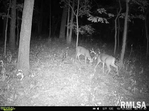 4 H Rd, Sumner, IL 62466 photo 52