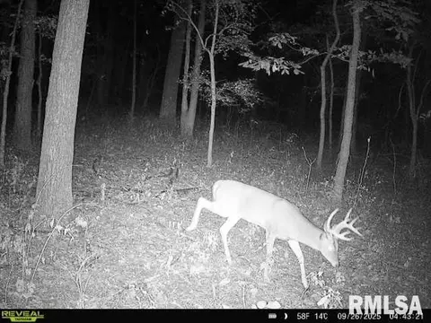 4 H Rd, Sumner, IL 62466 photo 71
