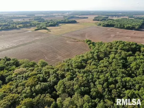 4 H Rd, Sumner, IL 62466 photo 9