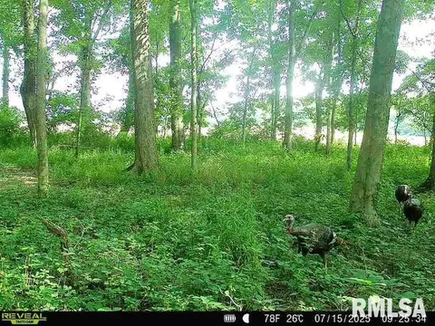 4 H Rd, Sumner, IL 62466 photo 81