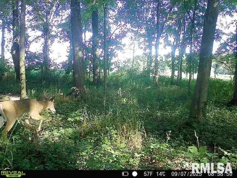 4 H Rd, Sumner, IL 62466 photo 78