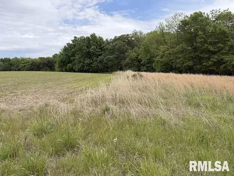 4 H Rd, Sumner, IL 62466 photo 16