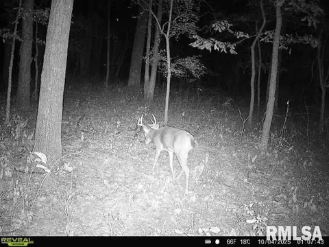 4 H Rd, Sumner, IL 62466 photo 73