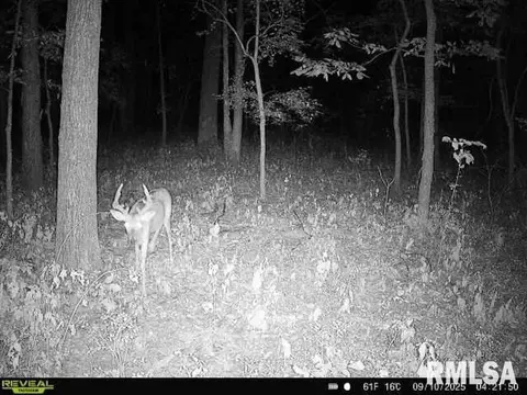 4 H Rd, Sumner, IL 62466 photo 65
