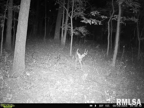 4 H Rd, Sumner, IL 62466 photo 72