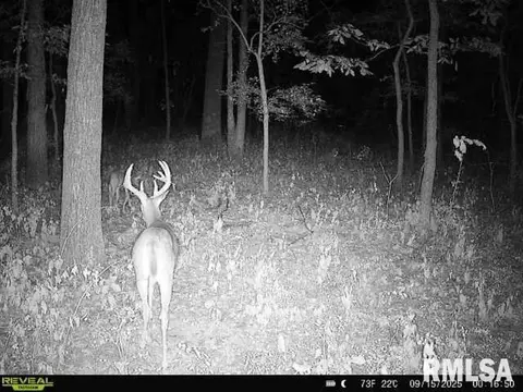 4 H Rd, Sumner, IL 62466 photo 66