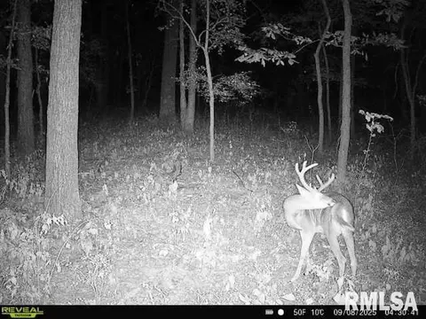 4 H Rd, Sumner, IL 62466 photo 64