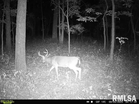 4 H Rd, Sumner, IL 62466 photo 61