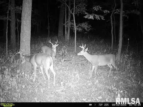 4 H Rd, Sumner, IL 62466 photo 70