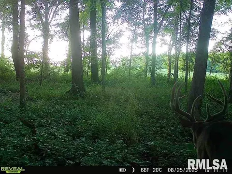 4 H Rd, Sumner, IL 62466 photo 80