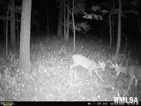 4 H Rd, Sumner, IL 62466 photo 69