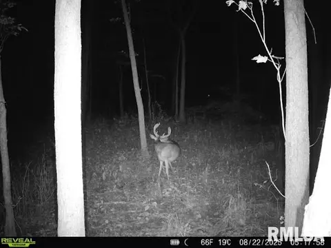 4 H Rd, Sumner, IL 62466 photo 85