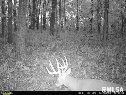 4 H Rd, Sumner, IL 62466 photo 68