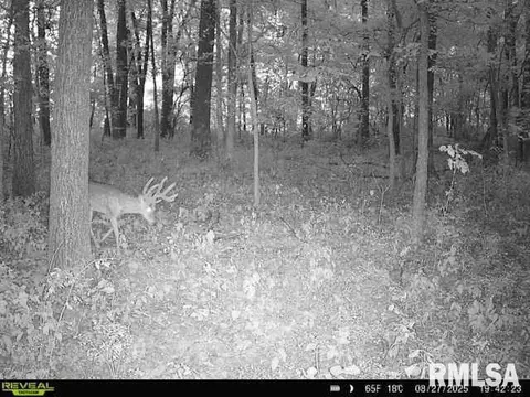 4 H Rd, Sumner, IL 62466 photo 58