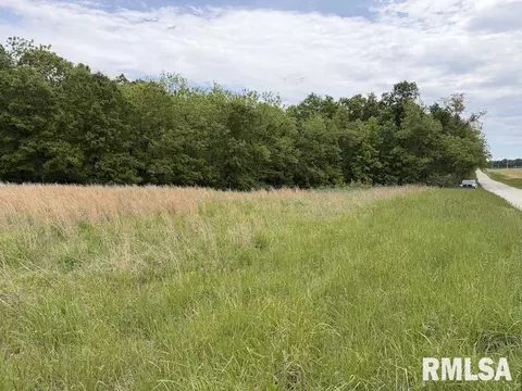 4 H Rd, Sumner, IL 62466 photo 15