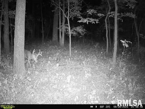 4 H Rd, Sumner, IL 62466 photo 59