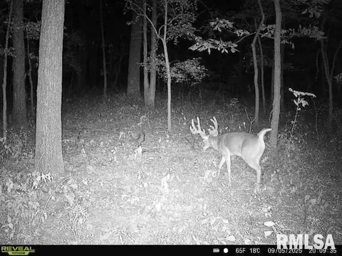 4 H Rd, Sumner, IL 62466 photo 62