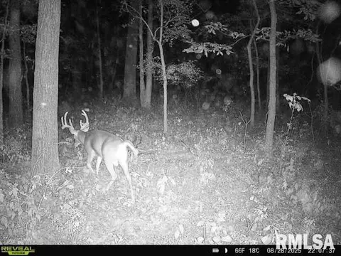 4 H Rd, Sumner, IL 62466 photo 60