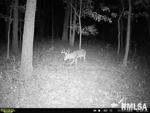 4 H Rd, Sumner, IL 62466 photo 55