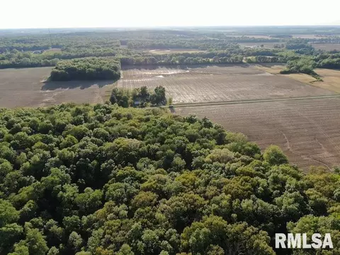 4 H Rd, Sumner, IL 62466 photo 8