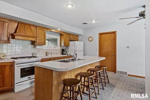 Kitchen - 407 Lewis Dr, Dawson, IL 62520 photo 1 of 4