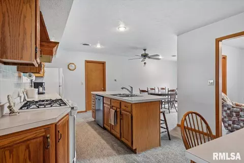 Other - 407 Lewis Dr, Dawson, IL 62520 photo 4 of 8
