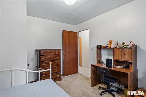 Other - 407 Lewis Dr, Dawson, IL 62520 photo 8 of 8