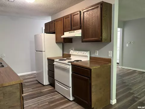 Kitchen - 141 N Douglas Ave, Springfield, IL 62702 photo 1 of 3