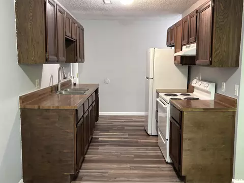 Kitchen - 141 N Douglas Ave, Springfield, IL 62702 photo 3 of 3