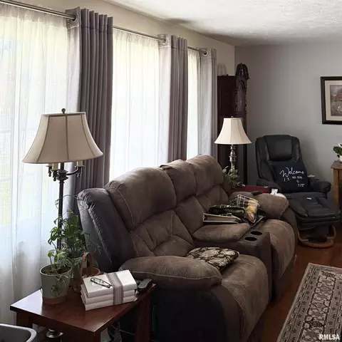 Living - 97 White Pine Dr, Springfield, IL 62712 photo 1 of 1