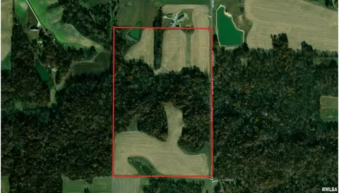 60 Acres Se Section 8 Liberty Twp, Liberty, IL 62347