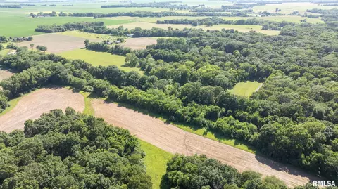 8543 Frey Rd, Pleasant Plains, IL 62677