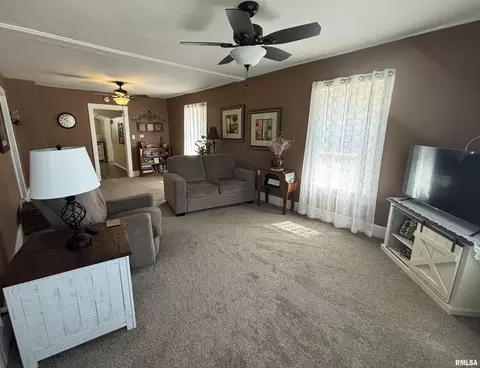 Other - 209 W C St, Alpha, IL 61413 photo 6 of 7