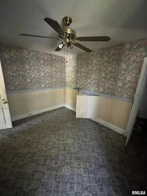610 E Gandy St, Taylorville, IL 62568 photo 8