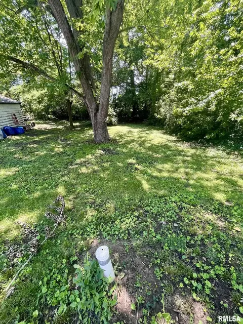 610 E Gandy St, Taylorville, IL 62568 photo 6