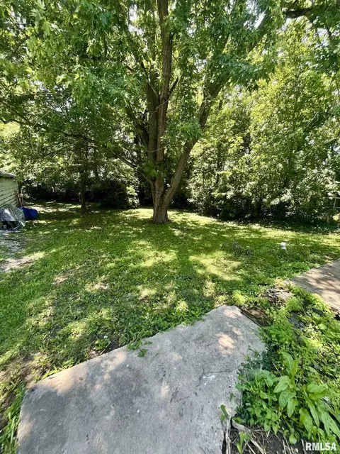 610 E Gandy St, Taylorville, IL 62568 photo 7