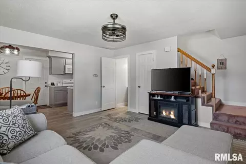 Other - 343 Durkin Dr, Springfield, IL 62704 photo 3 of 3