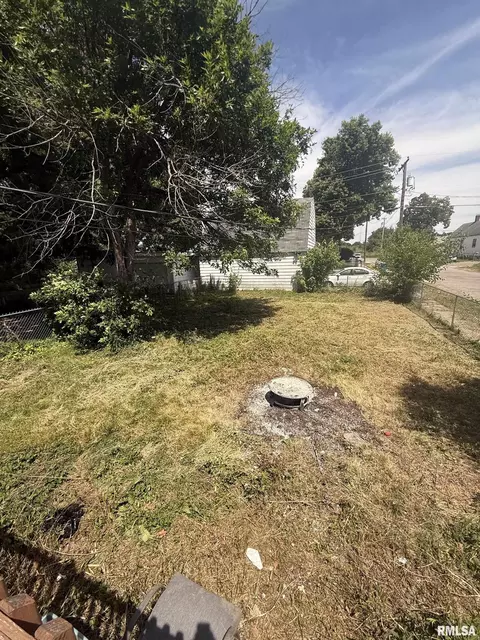 Exterior - 1800 N 9th St, Springfield, IL 62702 photo 3 of 5
