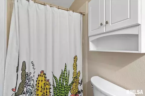 Bath - 485 Pakey Rd, Springfield, IL 62712 photo 1 of 4