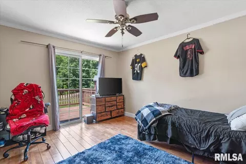 Other - 485 Pakey Rd, Springfield, IL 62712 photo 7 of 15