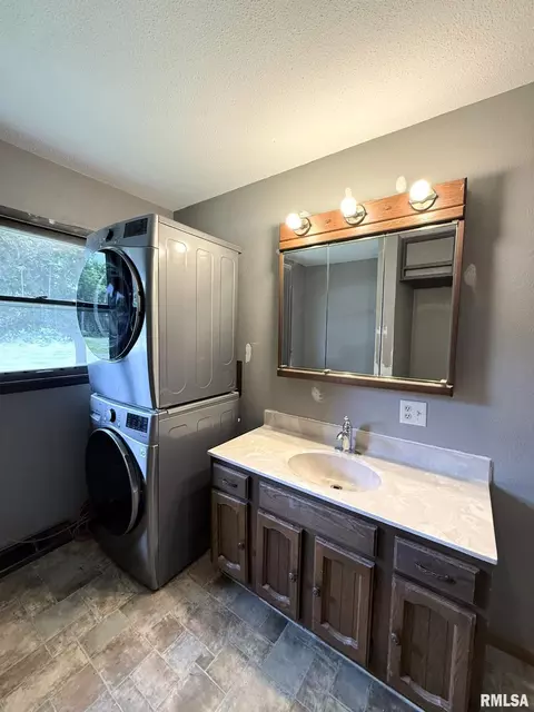 Other - 219 E Willard St, Wataga, IL 61488 photo 8 of 13