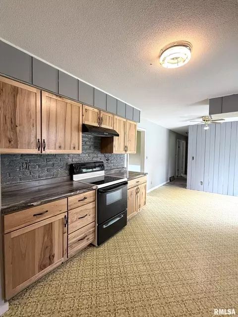 Kitchen - 219 E Willard St, Wataga, IL 61488 photo 5 of 5